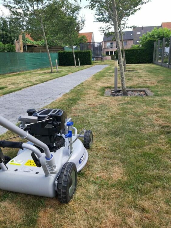 Stephanie - tuin