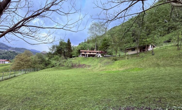 Carolina - Bergamo