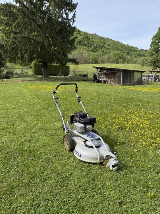 Jean-Claude - La Trinité